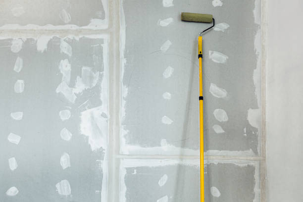 Best Mold Prevention Services  in Jamestown West, NY