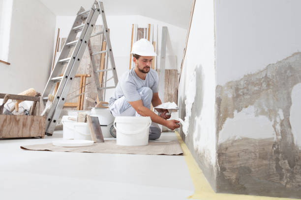 Jamestown West, NY Mold Removal Company