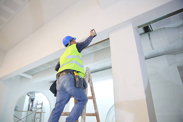 Best Environmental Consulting for Mold Prevention  in Jamestown West, NY